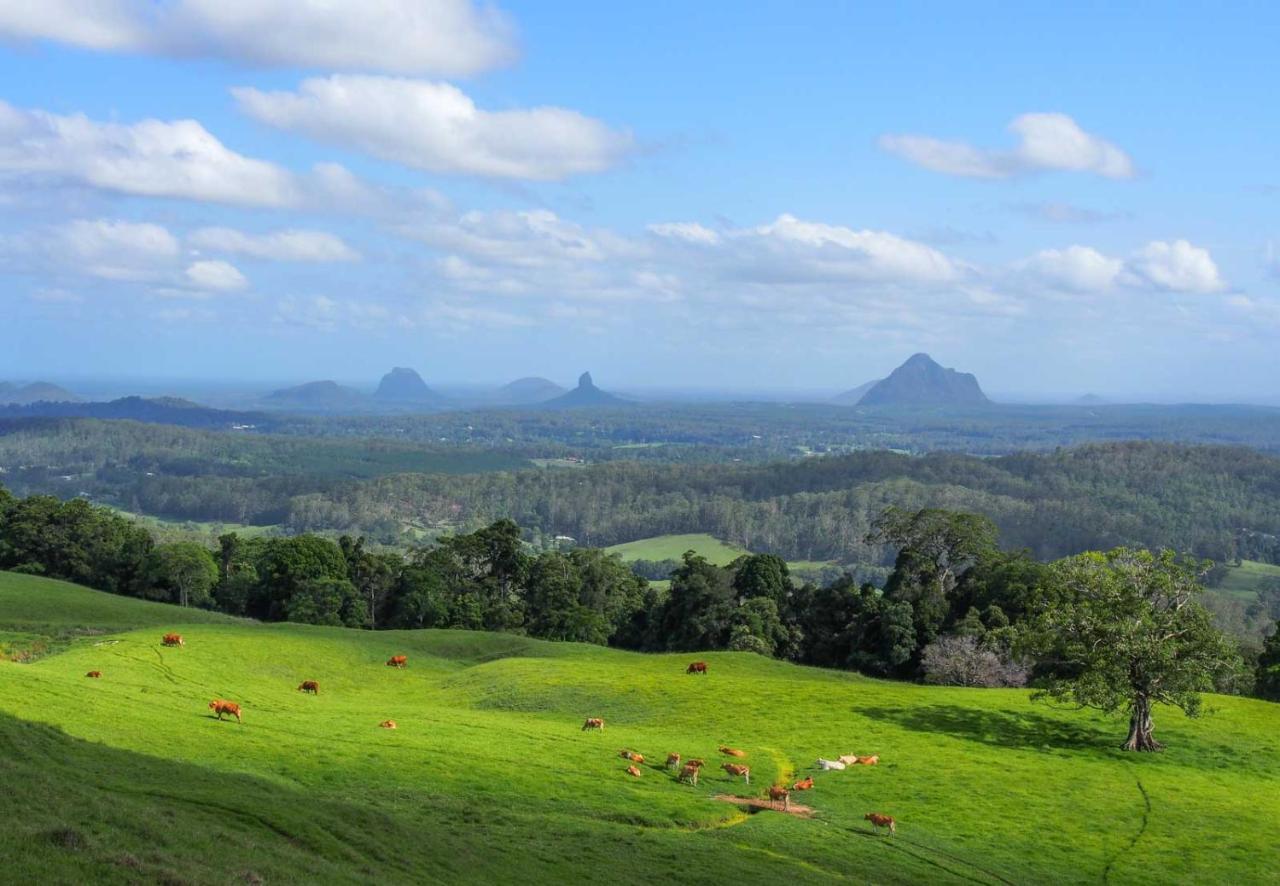 Maleny Lake Cottages Екстериор снимка